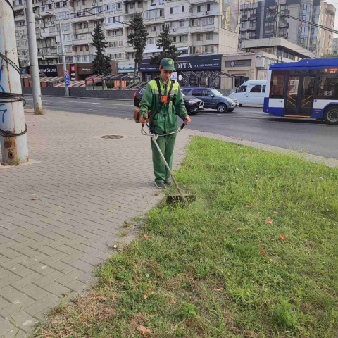 Măsuri preventive de combatere a ambroziei și a dăunătorilor de pe teritoriul municipiului Chișinău